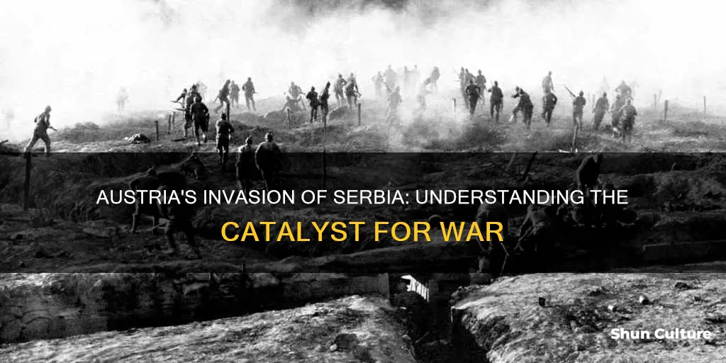 why did austria invade serbia
