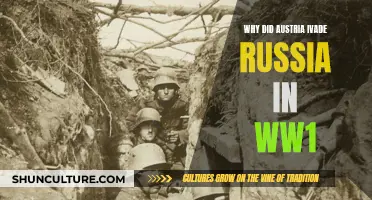 Austria's Invasion of Russia: WW1's Eastern Front Explored