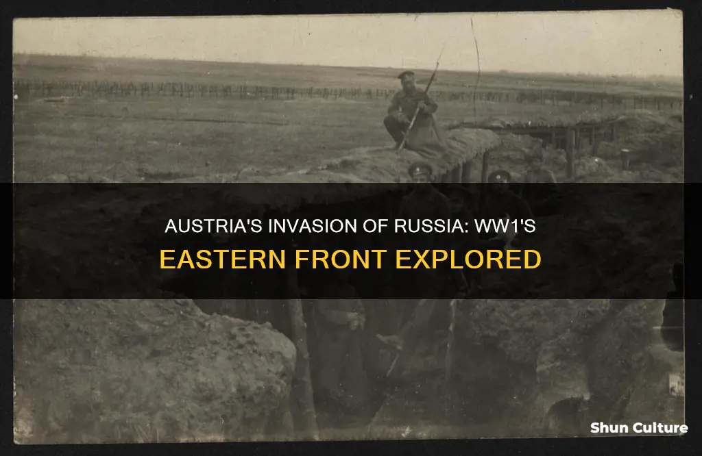why did austria ivade russia in ww1