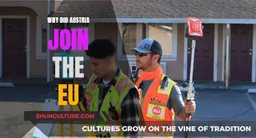 Austria's EU Membership: Benefits and Motivations