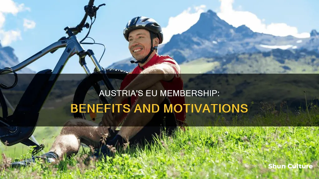 why did austria join the eu