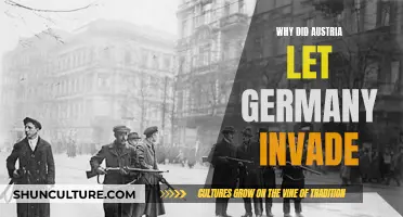 Austria's Misguided Trust: Germany's Invasion