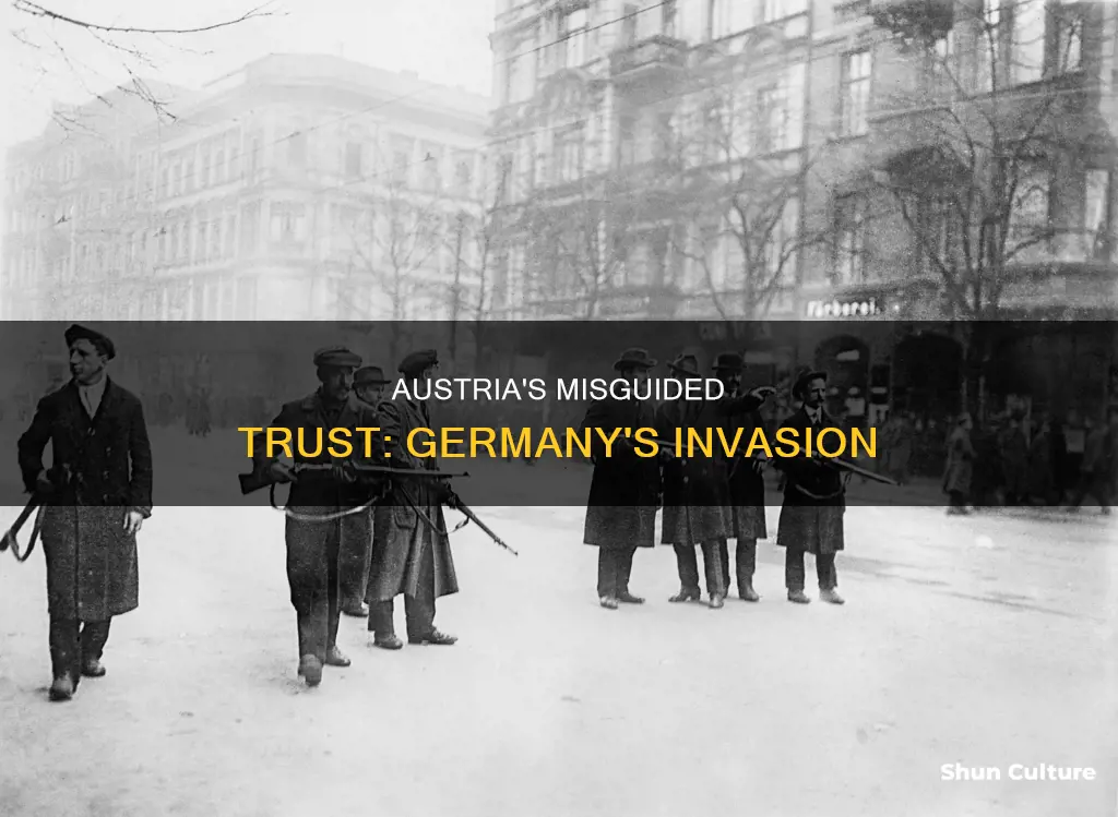 why did austria let germany invade