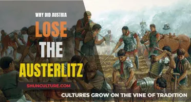 Napoleon's Triumph: Austerlitz, Austria's Loss and Legacy
