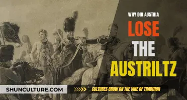 Napoleon's Triumph: Austria's Austerlitz Defeat
