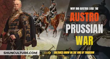 Austria's Loss: The Prussian War Advantage
