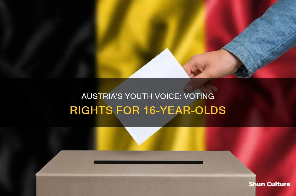 why did austria lower the voting age to 16