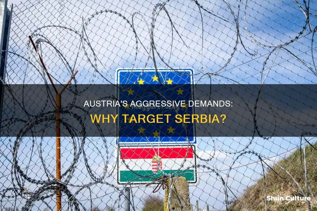 why did austria make such demands on serbia
