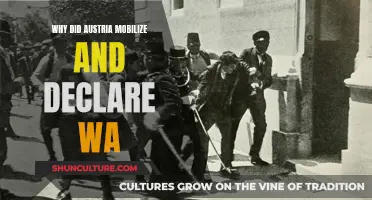 Austria's Mobilization: A Prelude to War