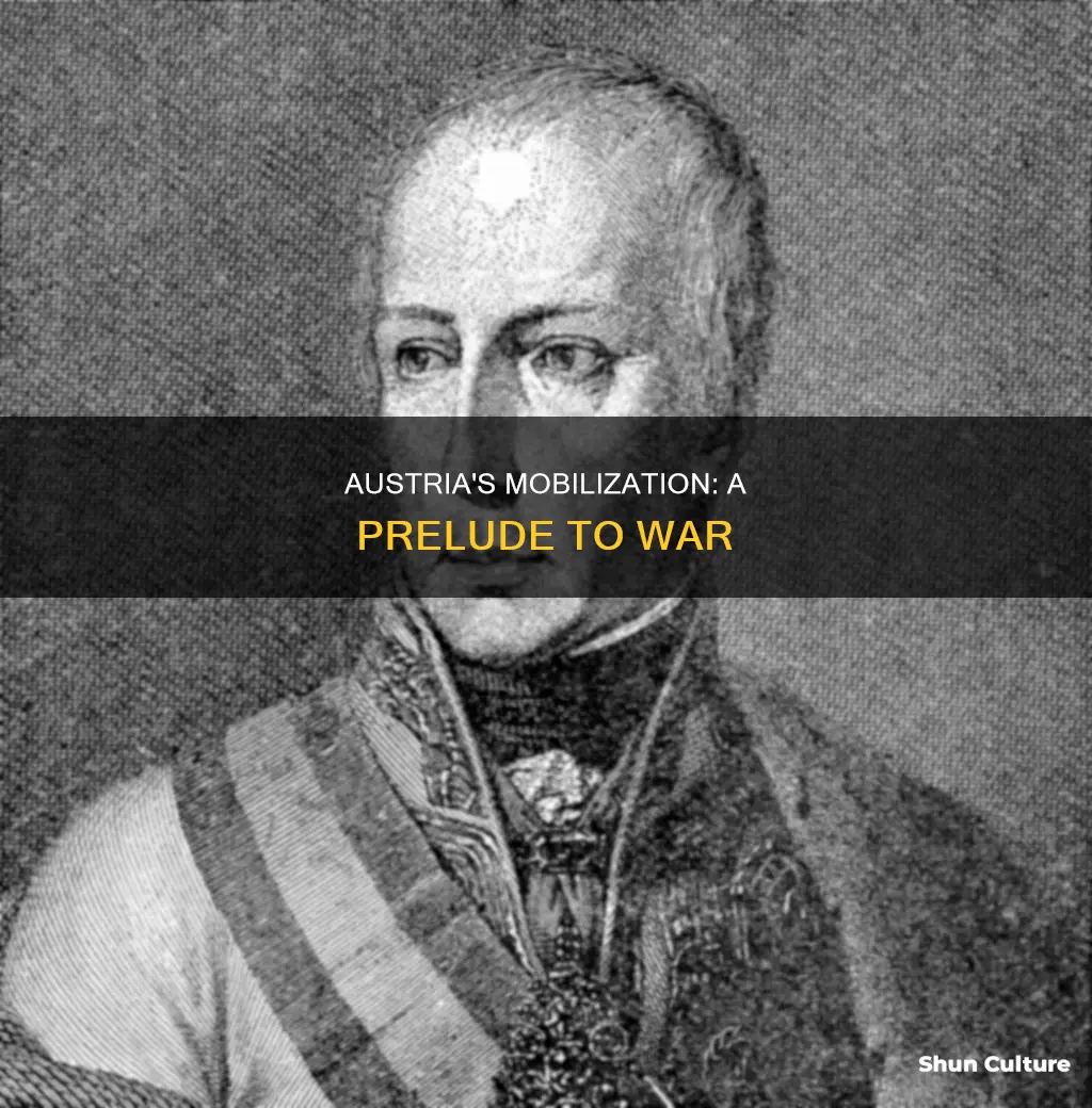 why did austria mobilize and declare wa