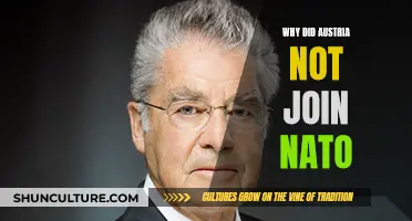 Austria's NATO Hesitation: Why No Membership?