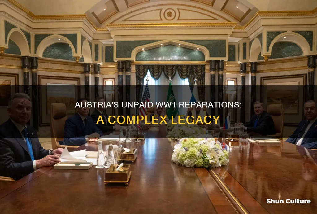 why did austria not pay for reperations for ww1