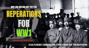 Austria's Refusal of WWI Reparations Explained