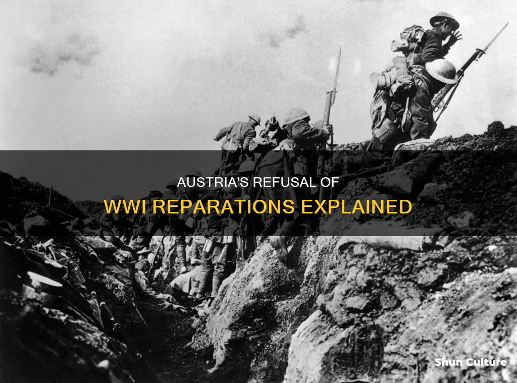 why did austria not pay for reperations for ww1