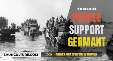 Austria's Support for Germany: A Historical Perspective