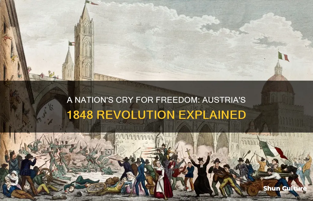 why did austria revolt in 1848