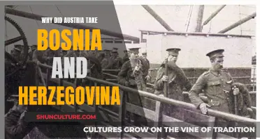 A Nation's Quest: Austria's Role in Bosnia's History