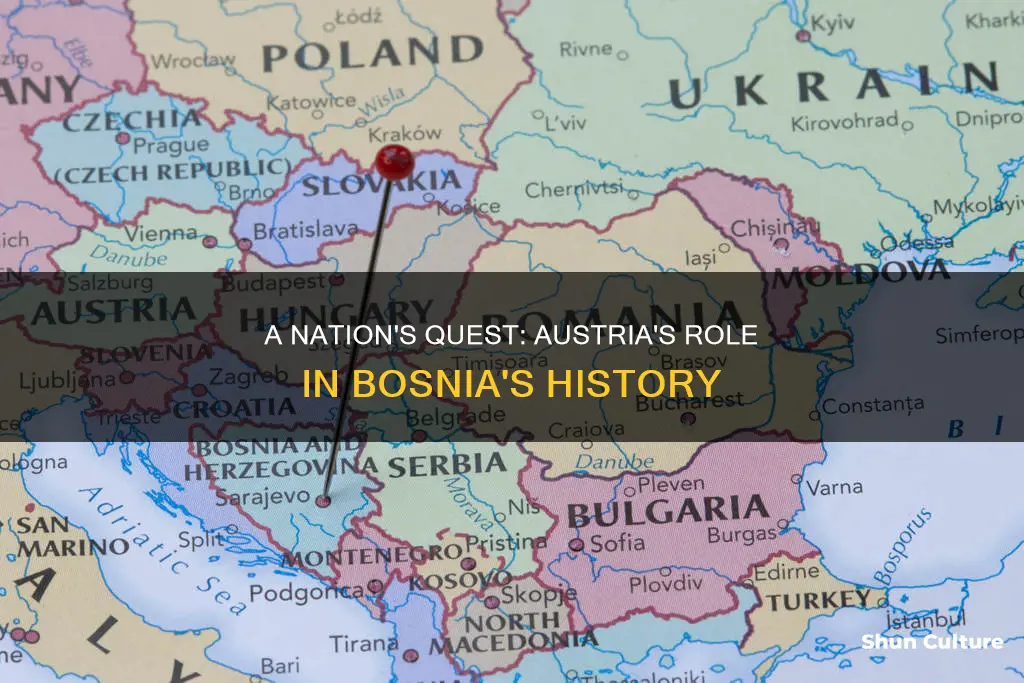 why did austria take bosnia and herzegovina