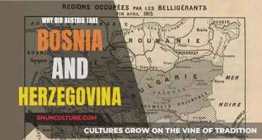 Austria's Annexation of Bosnia and Herzegovina: Motives and Ambitions