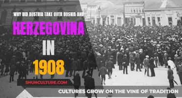 Austria's Annexation of Bosnia and Herzegovina: Motives and Impacts