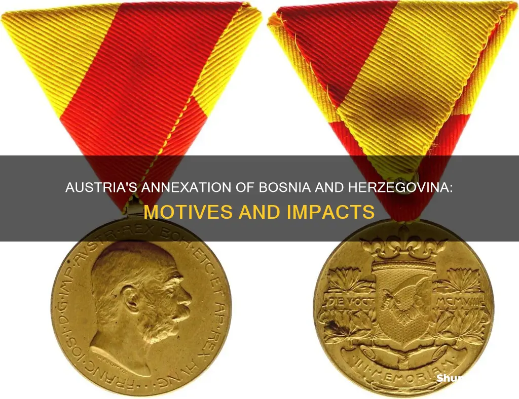 why did austria take over bosnia and herzegovina in 1908