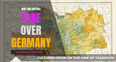 Austria's Annexation of Germany: Motives and Strategies