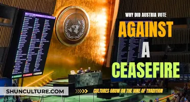 Austria's Vote: Why Ceasefire Opposition?
