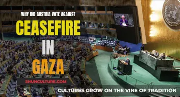 Austria's Vote Against Ceasefire: Understanding the Stance on Gaza