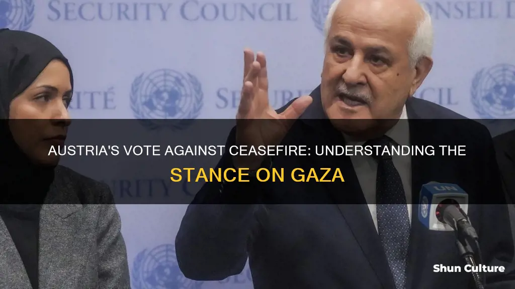 why did austria vote against ceasefire in gaza