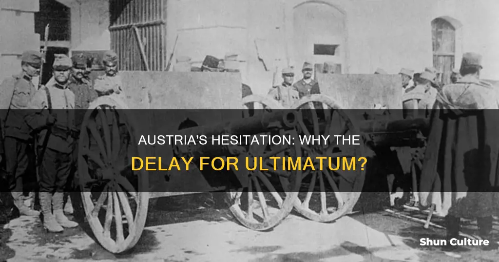 why did austria wait a month to issue the ultimatum