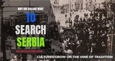 Serbia's Threat: Austria's Concern and Search for Security