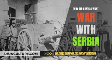 Austria's Aggression: Why War With Serbia?