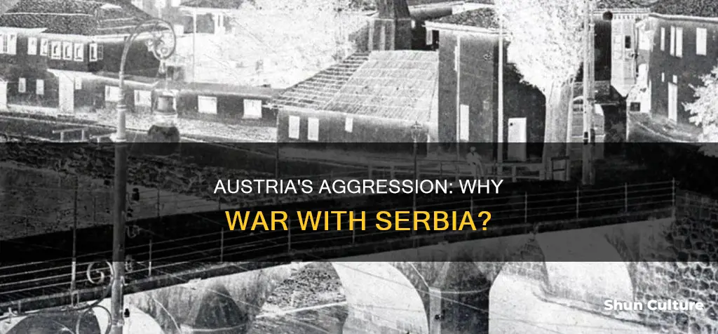 why did austria want war with serbia