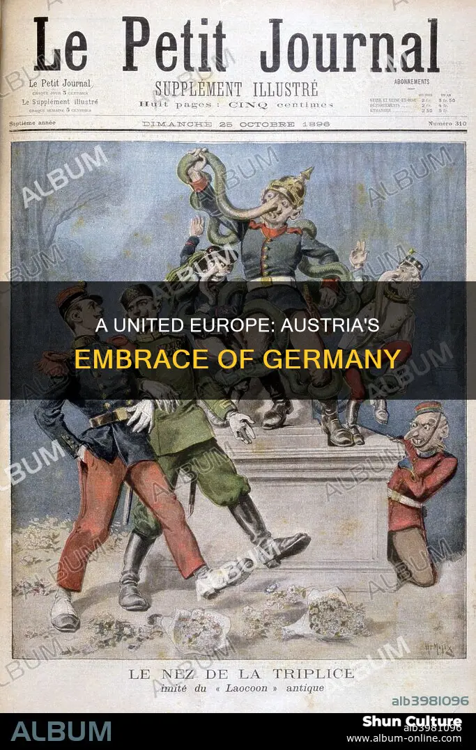 why did austria welcome germany