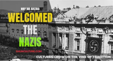 Austria's Nazi Welcome: Understanding the Country's Dark Past