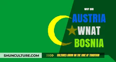 Austria's Annexation of Bosnia: Strategic Interests and Imperial Ambitions
