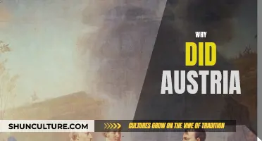Austria's Unique Path: Why It Stands Alone
