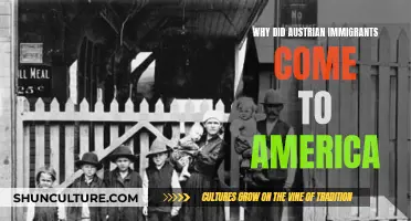 Austrian Immigrants' Journey to America: Reasons and Aspirations