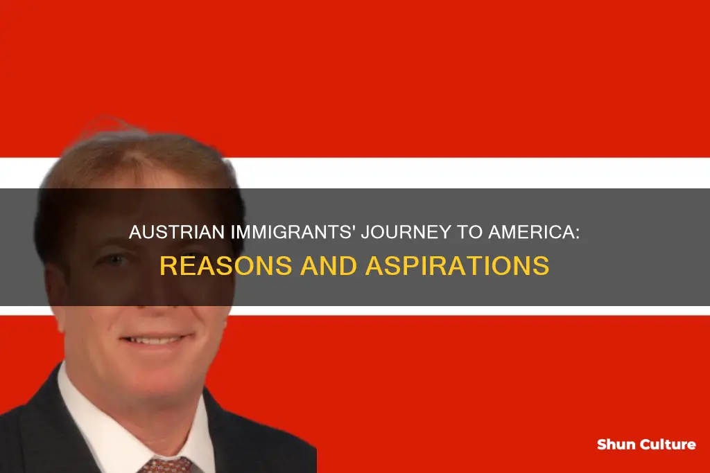 why did austrian immigrants come to america