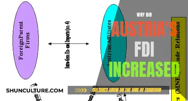 Austria's FDI Rise: Exploring the Intriguing Factors