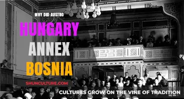 Why Did Austro-Hungary Annex Bosnia? Historical Motives Explained