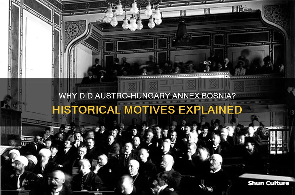 why did austro hungary annex bosnia