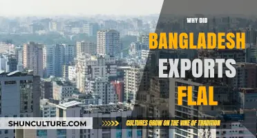 Why Bangladesh's Exports Faltered: Key Factors and Economic Impact