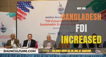 Bangladesh's FDI Surge: Key Drivers and Economic Transformation Insights
