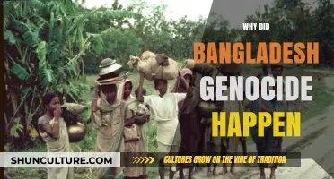 The Forgotten Tragedy: Uncovering the Roots of Bangladesh's 1971 Genocide
