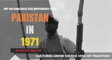 The 1971 Liberation War: Bangladesh's Fight for Independence from Pakistan