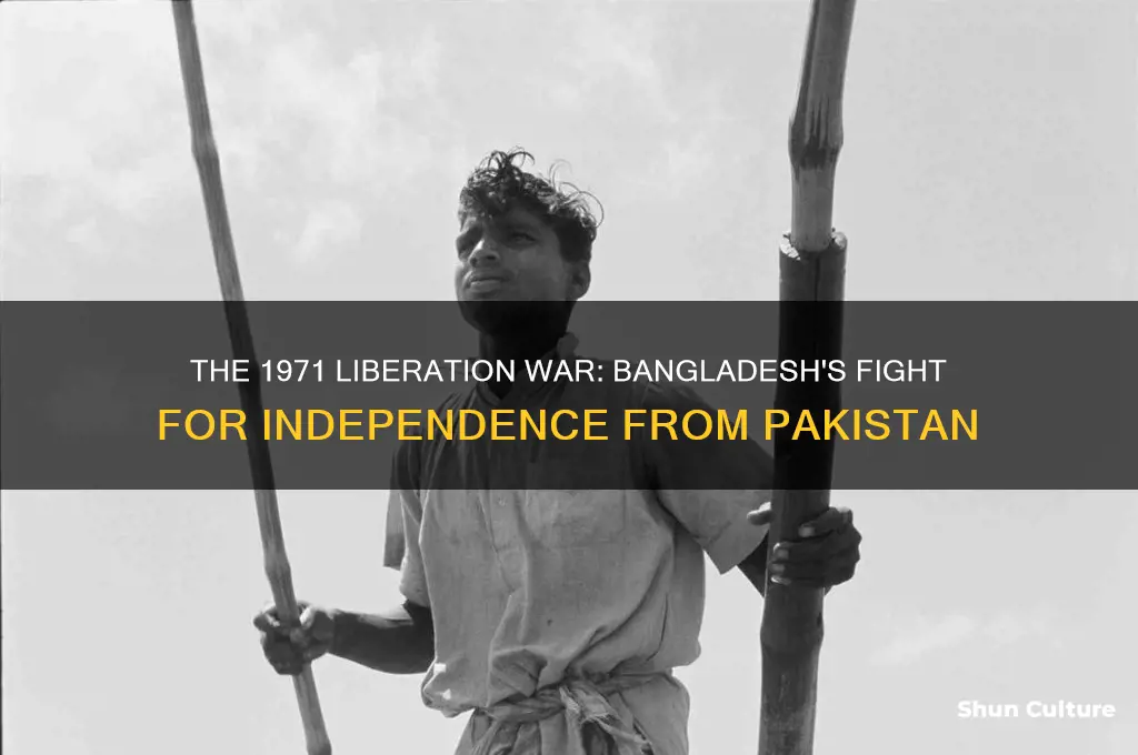 why did bangladesh seek independence from pakistan in 1971
