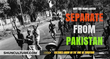 The 1971 Liberation War: Why Bangladesh Separated from Pakistan
