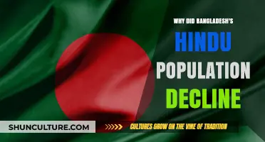 Bangladesh's Hindu Population Decline: Historical, Social, and Political Factors Explored