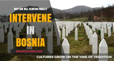 Clinton's Bosnia Intervention: The Turning Point and Reasons Behind It